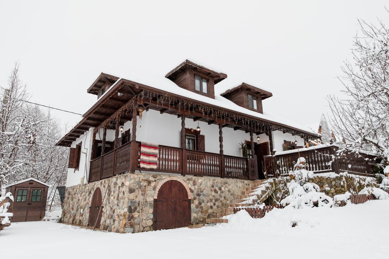Casa Cu Cerdac Villa Nucsoara  Bagian luar foto
