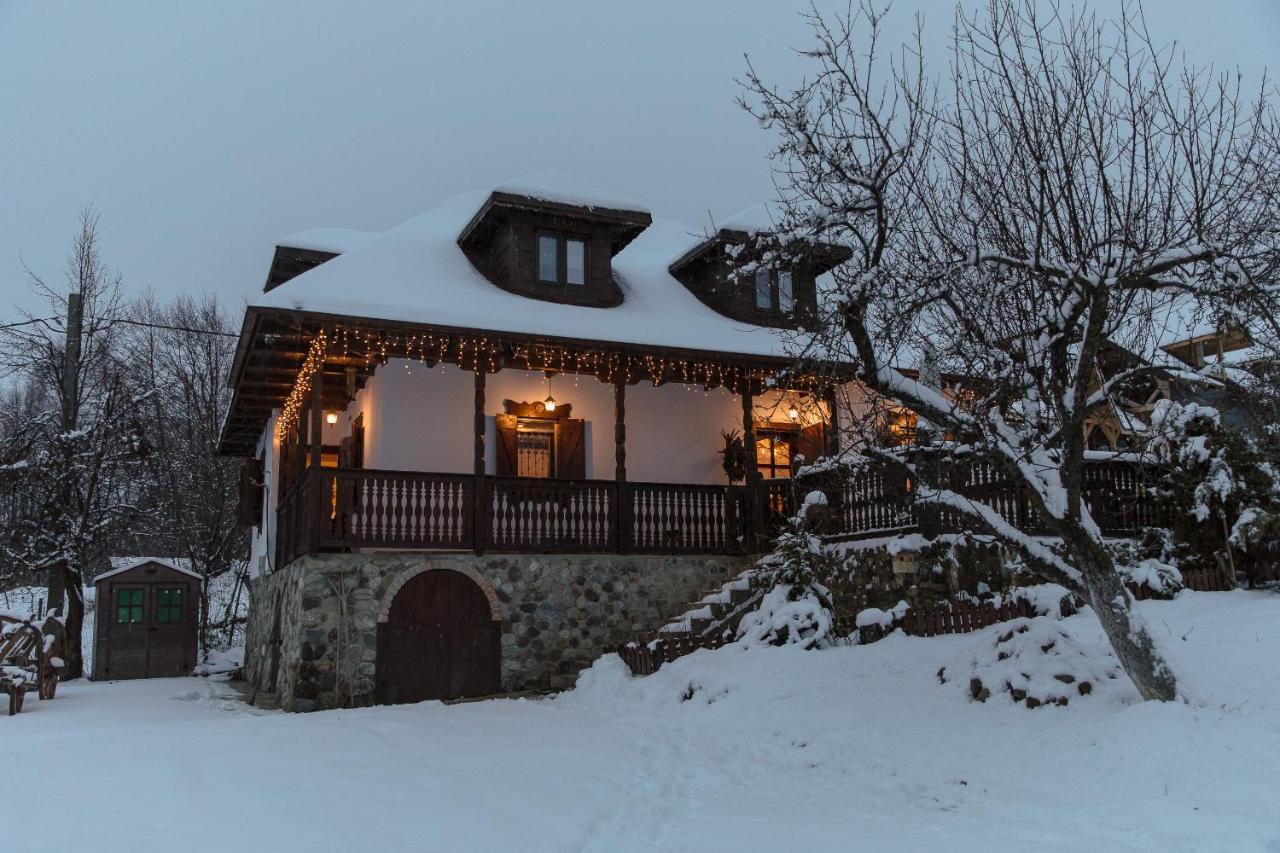 Casa Cu Cerdac Villa Nucsoara  Bagian luar foto