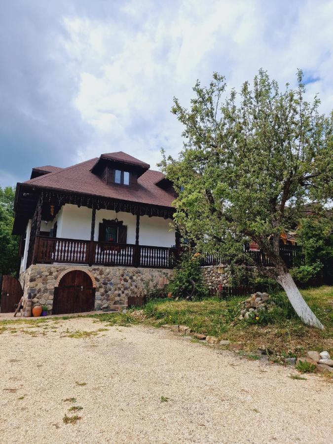 Casa Cu Cerdac Villa Nucsoara  Bagian luar foto