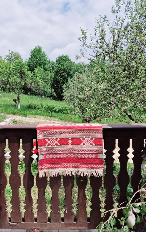 Casa Cu Cerdac Villa Nucsoara  Bagian luar foto